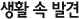 생활속발견